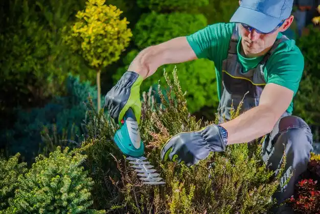 landscaping services Bliss Corner